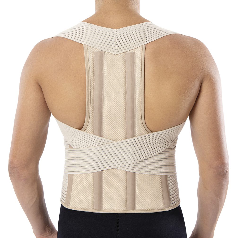 Anatomic Help Taylor Torso Narthex Support