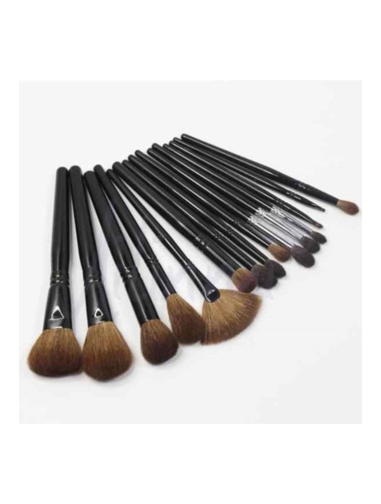 AILINMI BRUSHES 12'PCS