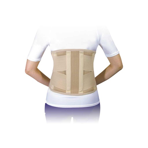 [64485] Super Ortho Lumbar Support W/ 4 Stays B5- 011 L